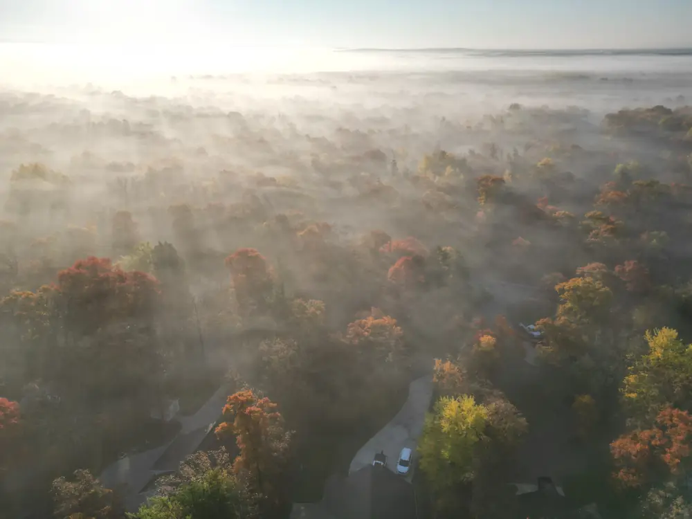 Autumn forest under morning fog in Minnesota lake country.