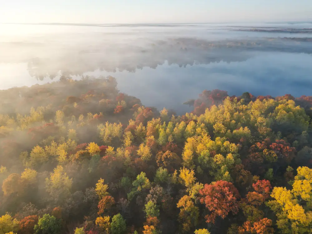Morning fog lifting off a northern Minnesota lake, with autumn maples and birch below.