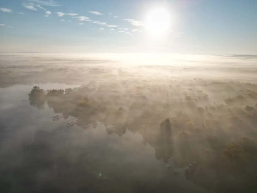 Sun rising over a fog-covered lake and shoreline forest.